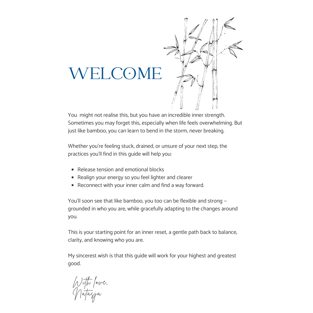 FREE Energy Reset Guide FREE Energy Reset Guide - Image 3